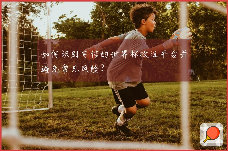 如何识别可信的世界杯投注平台并避免常见风险？