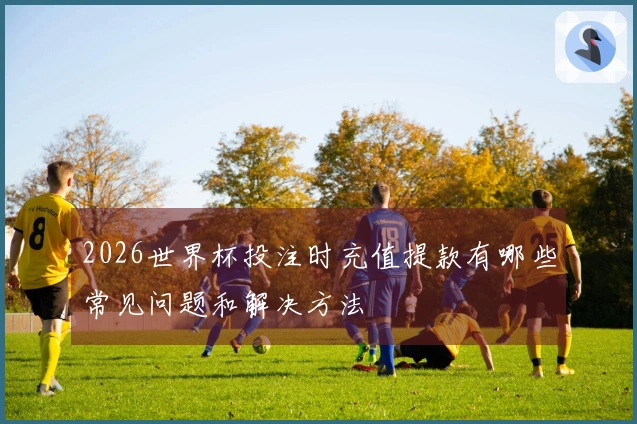 2026世界杯投注时充值提款有哪些常见问题和解决方法