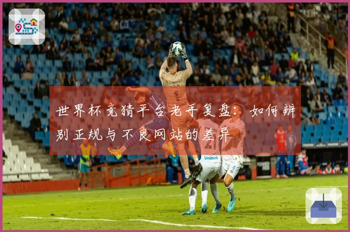 世界杯竞猜平台老手复盘：如何辨别正规与不良网站的差异