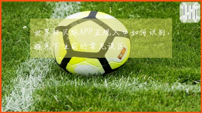 世界杯买球APP正规入口如何识别，避免下注前的常见误区