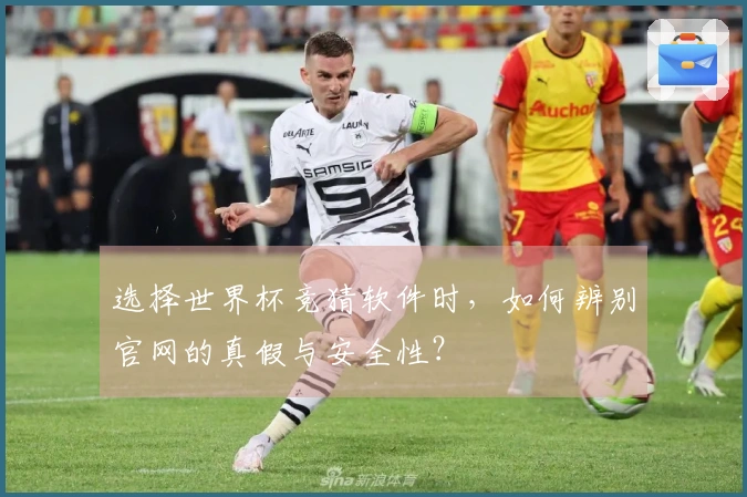 选择世界杯竞猜软件时，如何辨别官网的真假与安全性？