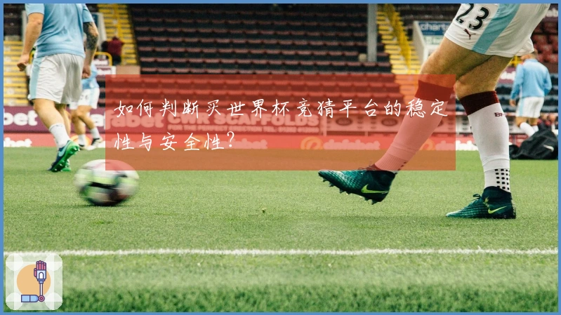 如何判断买世界杯竞猜平台的稳定性与安全性？