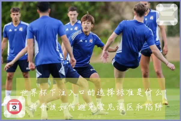 世界杯下注入口的选择标准是什么？新手该如何避免常见误区和陷阱