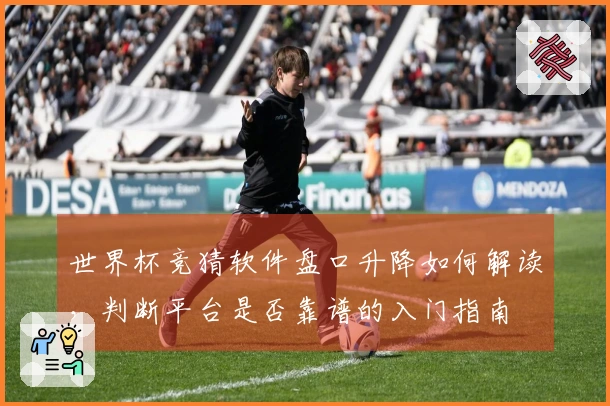 世界杯竞猜软件盘口升降如何解读，判断平台是否靠谱的入门指南