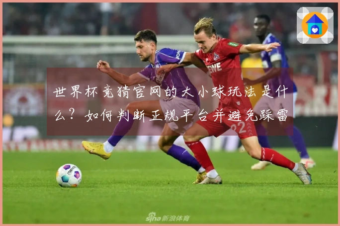 世界杯竞猜官网的大小球玩法是什么？如何判断正规平台并避免踩雷