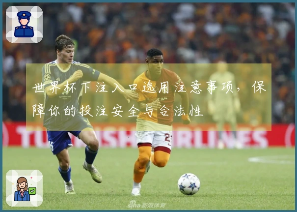 世界杯下注入口选用注意事项，保障你的投注安全与合法性