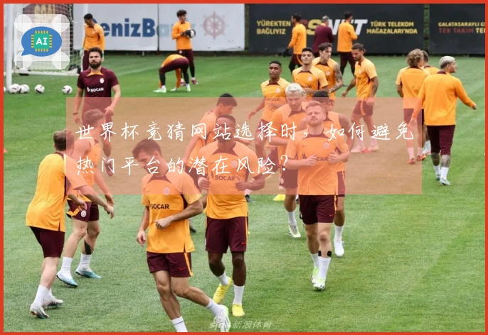 世界杯竞猜网站选择时，如何避免热门平台的潜在风险？