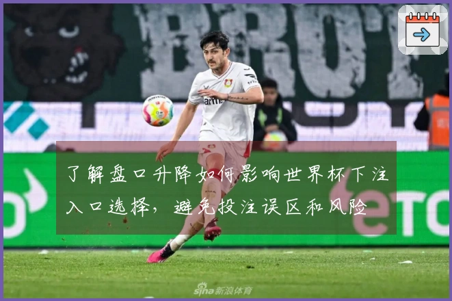 了解盘口升降如何影响世界杯下注入口选择，避免投注误区和风险