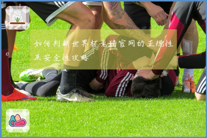 如何判断世界杯竞猜官网的正规性及安全性攻略