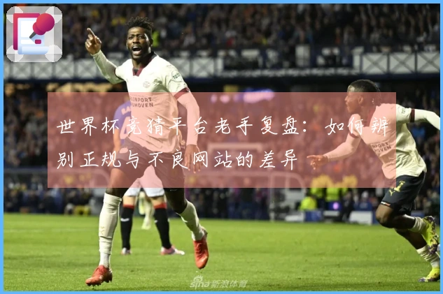 世界杯竞猜平台老手复盘：如何辨别正规与不良网站的差异