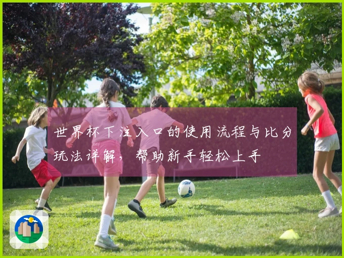世界杯下注入口的使用流程与比分玩法详解，帮助新手轻松上手