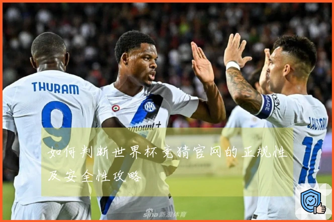 如何判断世界杯竞猜官网的正规性及安全性攻略