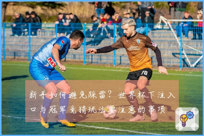 新手如何避免踩雷？世界杯下注入口与冠军竞猜玩法要注意的事项