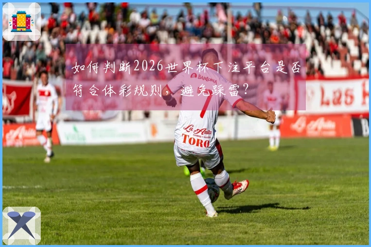 如何判断2026世界杯下注平台是否符合体彩规则，避免踩雷？