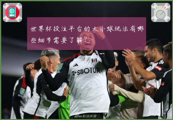 世界杯投注平台的大小球玩法有哪些细节需要了解？