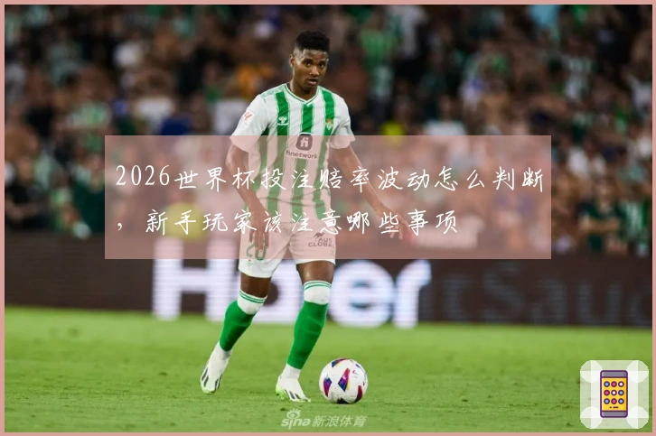 2026世界杯投注赔率波动怎么判断，新手玩家该注意哪些事项
