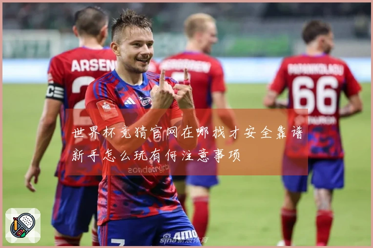 世界杯竞猜官网在哪找才安全靠谱新手怎么玩有何注意事项