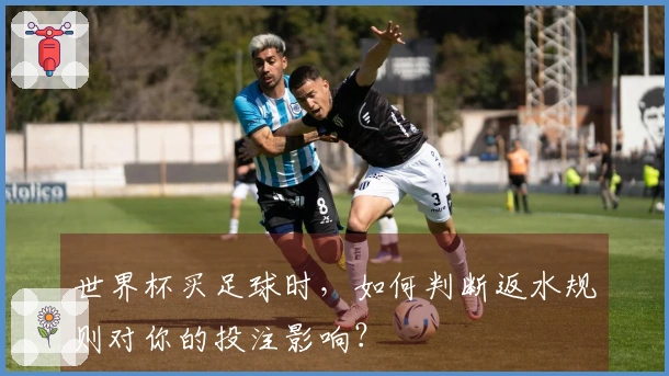 世界杯买足球时，如何判断返水规则对你的投注影响？