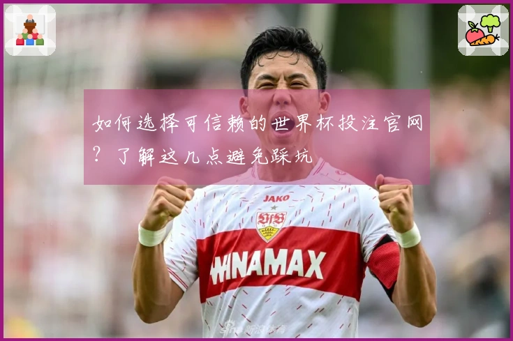 如何选择可信赖的世界杯投注官网？了解这几点避免踩坑